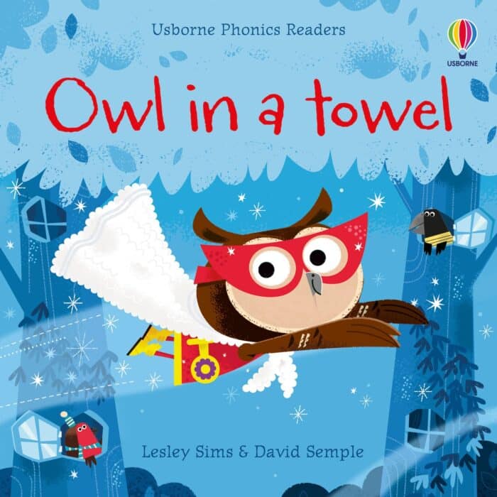 Owl in a towel - görsel 1