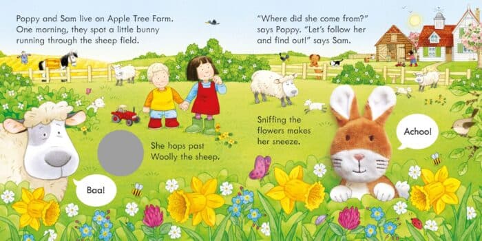 Poppy and sam and the bunny - görsel 3
