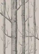Cole&Son Duvar Kağıdı - Görsel 2