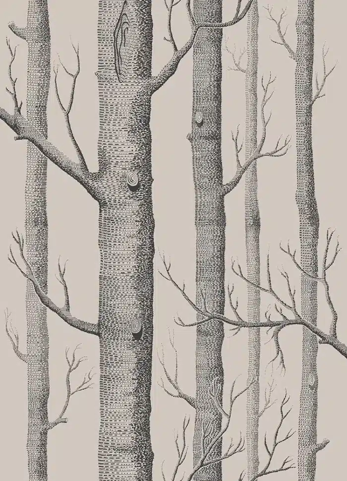 Cole&son duvar kağıdı - görsel 2