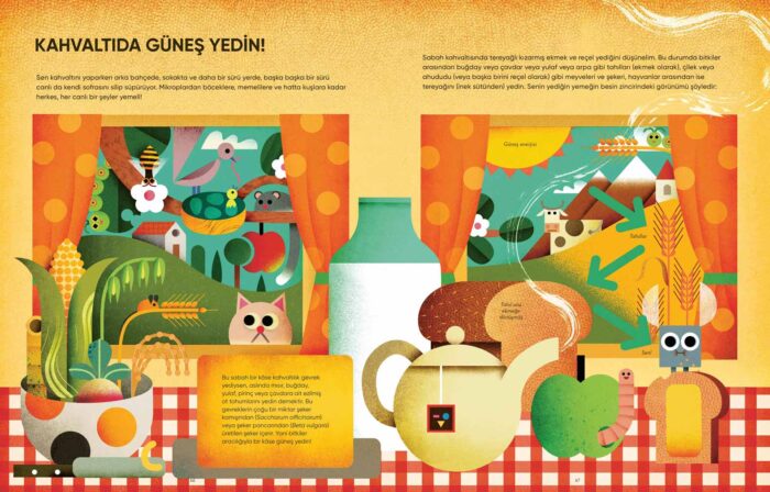 Kahvaltida güneş yedi̇m - görsel 2