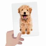 HEADU FLASHCARDS TACTILE MONTESSORİ (1-4 YAŞ) - Görsel 3