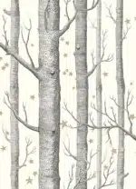 Cole&Son Duvar Kağıdı