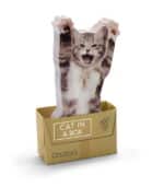 Mustard Cat in a Box Yapışkanlı Not Kağıdı - Görsel 2