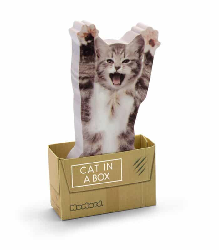 Mustard cat in a box yapışkanlı not kağıdı - görsel 2