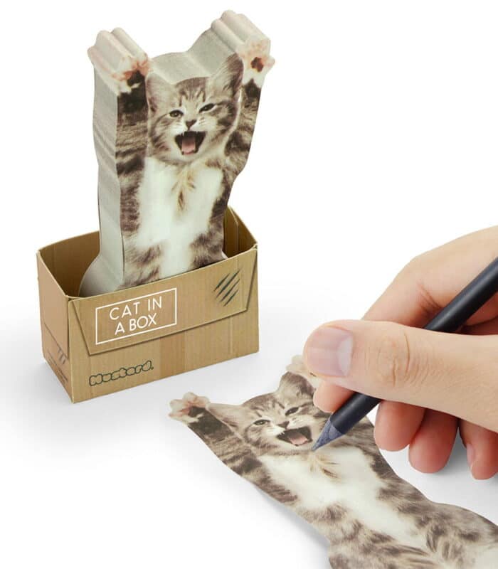 Mustard cat in a box yapışkanlı not kağıdı - görsel 1
