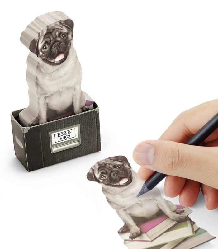 Mustard dog in a box yapışkanlık not kağıdı - görsel 1