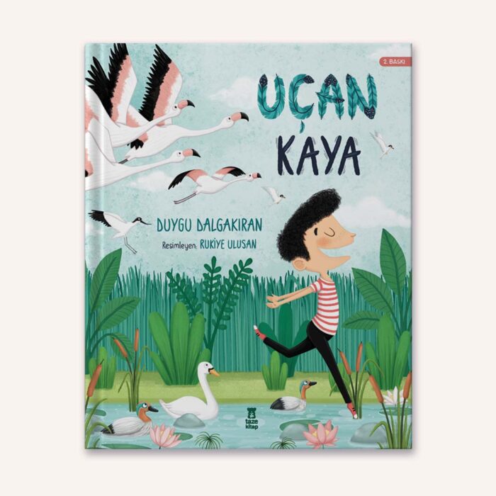 Uçan kaya - görsel 1