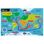 My Precious Planet Caring for our oceans activity book - Görsel 2