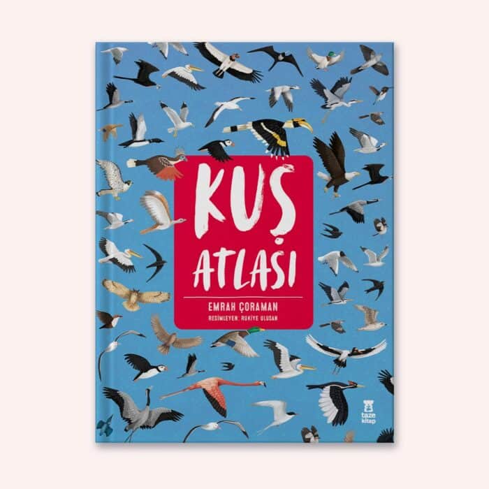Kuş atlası - görsel 1