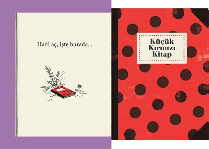 Aç bu küçük kitabı - görsel 2