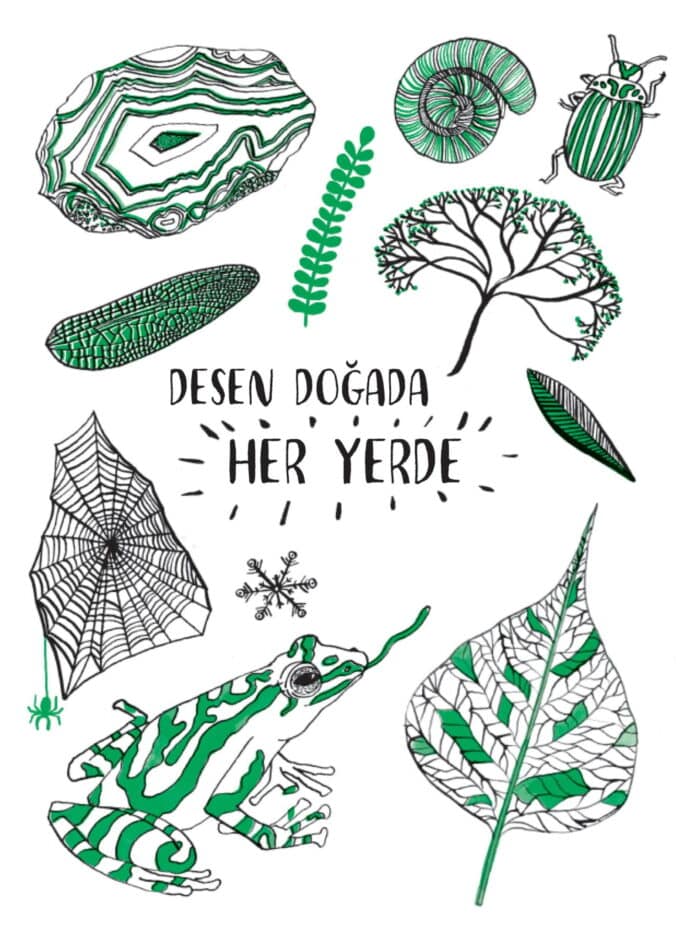 Merhaba doğa - görsel 3