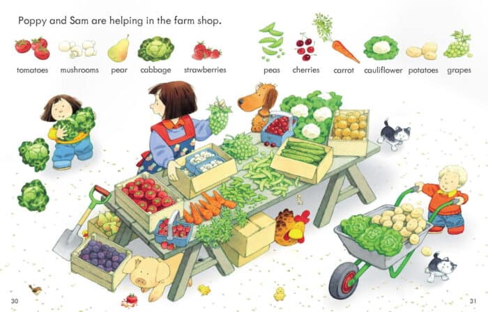 Poppy and sam's first word book - görsel 3