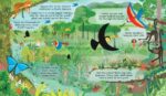 Can we really help the trees? - Görsel 4