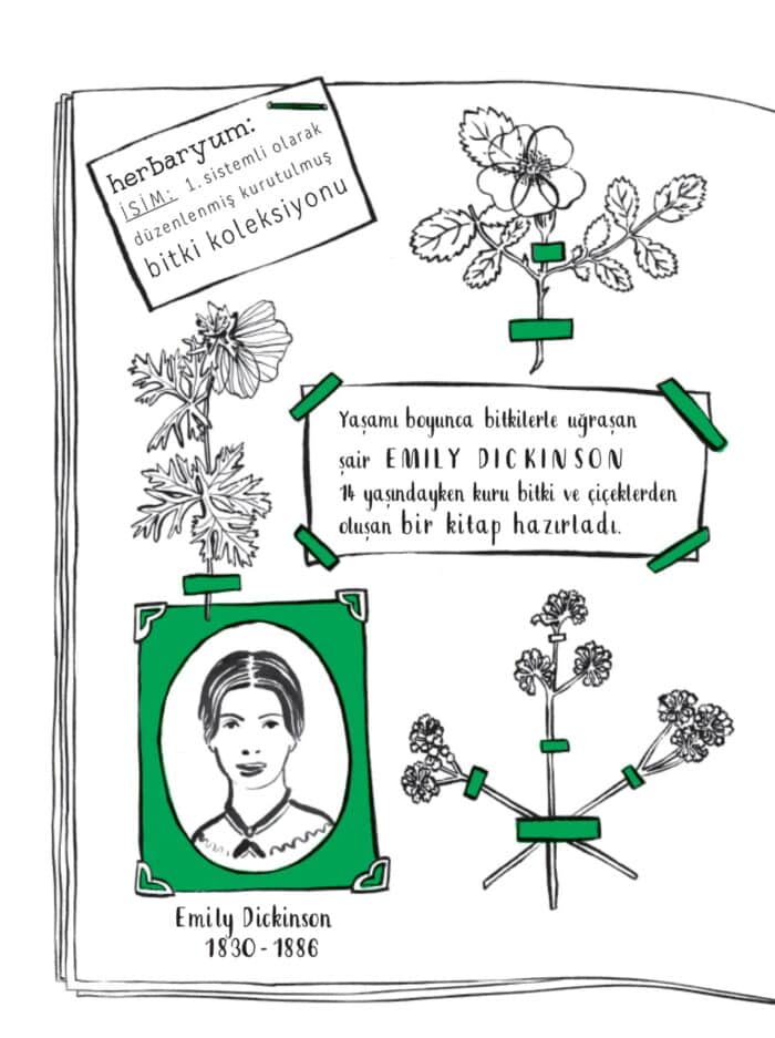 Merhaba doğa - görsel 4