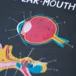 LONDJI LEARN&FUN INSIDE ME - ÖĞREN VE EĞLEN VÜCUDUM - Görsel 4