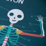 LONDJI LEARN&FUN INSIDE ME - ÖĞREN VE EĞLEN VÜCUDUM - Görsel 5