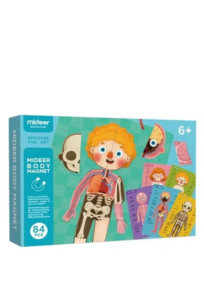 Mideer body magnet - görsel 1
