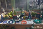 Meri Meri - Making Magic Potion Bottle Plates - Make Magic Sihirli Şişe Tabaklar (8'li) - Görsel 2