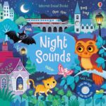 USBORNE Night Sounds