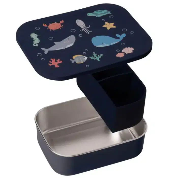 7533 ocean little lund lunch box compartment 1 copy