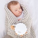 Hape Sleepy Sheepy Müzikli Uyku Arkadaşı - Görsel 4