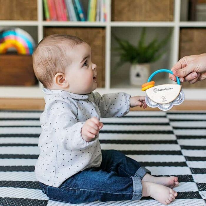 Hape tiny tambourine oyuncak ahsap tef f a68f