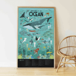 Discovery Oceans (Okyanus Temalı Poster) - Görsel 2
