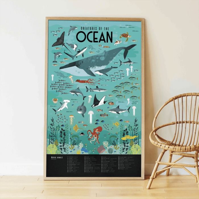 Discovery oceans (okyanus temalı poster) - görsel 2