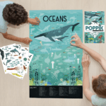 Discovery Oceans (Okyanus Temalı Poster) - Görsel 3
