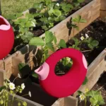 Quut Çift Taraflı Çocuk Sulama Kabı Large - Cherry - Görsel 2