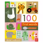 Nosy Crow - 100 First Words